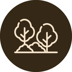 amenity-icons-01-cmf52bro70010c8ph2t46eghq